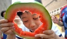 吃瓜河北神剪,揭秘民间剪纸艺术的魅力与传承