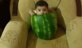 小宝吃瓜学古诗,趣味盎然的古韵之旅