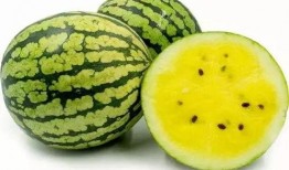 老家吃瓜日常,老家的悠闲日常