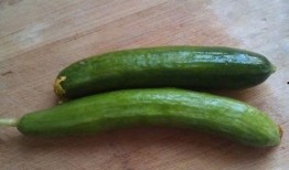 吃小瓜的做法,轻松学会吃小瓜的秘诀