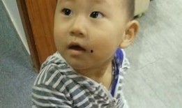 小林总吃瓜,瓜田里的欢乐时光