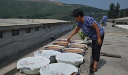 临沧大妈吃瓜,一场别开生面的“吃瓜”盛宴