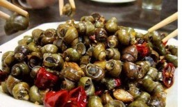 田螺吃小瓜虫,共生共荣的奇妙生态关系