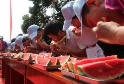 公司活动吃瓜大赛,公司吃瓜大赛盛况回顾