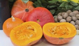 108和778吃瓜,揭秘吃瓜背后的故事与真相