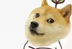 单身狗吃瓜表情,笑看人间百态