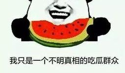 吃瓜小v,揭秘娱乐圈那些不为人知的幕后故事