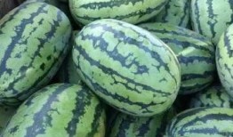 吃瓜忻州,吃瓜群众眼中的地方风情