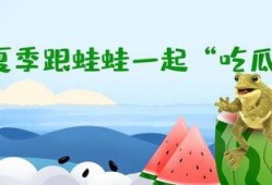 吃瓜蛙套圈,趣味盎然的夏日狂欢