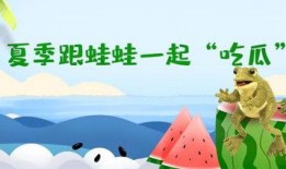 吃瓜蛙套圈,趣味盎然的夏日狂欢