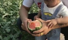 吃瓜群众小宝,揭秘娱乐圈那些事儿