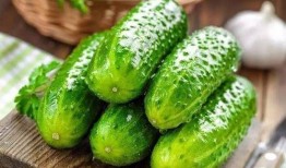 临沧大妈吃瓜,一场别开生面的“吃瓜”盛宴