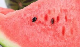 泗水吃瓜平台,揭秘网络热点的背后故事