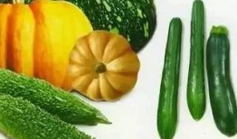 吃瓜相随,跟随潮流，揭秘娱乐圈幕后故事