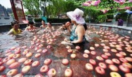 吃泡瓜事故,食品安全不容忽视