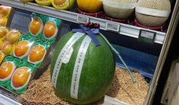 韩国吃瓜贵吗,吃瓜体验，价格揭秘