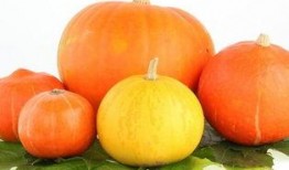 为什么有人吃瓜过敏