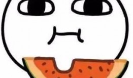 吃瓜开头的成语,吃瓜群众视角下的社会百态