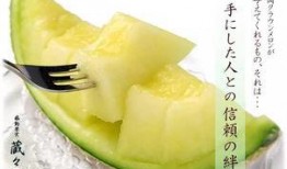 静冈吃瓜,探寻日本静冈的甜蜜秘密