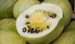 喜欢吃籽瓜,探寻美味籽瓜的独特魅力