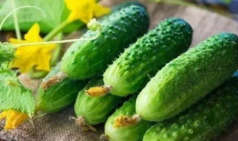 大冬天吃瓜,冬日暖阳下的清凉一“瓜”