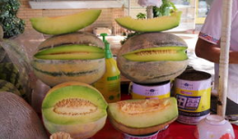 555吃瓜,揭秘娱乐圈背后的那些事儿