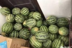 影楼吃瓜群视频,幕后故事与行业真相