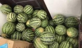 影楼吃瓜群视频,幕后故事与行业真相