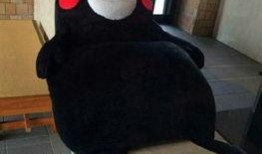 美帝吃瓜群众视频,视频背后的热议焦点