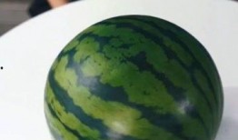 西瓜神仙吃瓜,揭秘夏日消暑美食的神奇魅力