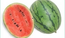 为什么有人吃瓜过敏