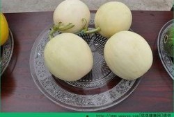 来月经可以吃田瓜吗,营养健康两不误”