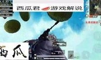 和平精英吃瓜网站