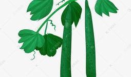 吃瓜头像插画素材,吃瓜头像插画素材背后的趣味故事