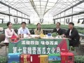 吃瓜魏营