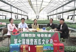 吃瓜魏营