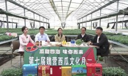 吃瓜魏营