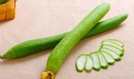 小孩吃瓜米,童年味蕾的甜蜜回忆