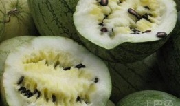怀孕初期吃籽瓜,籽瓜助力健康孕育之旅