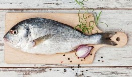 带你吃瓜奇葩鱼,带你探索奇特的“带你吃瓜奇葩鱼”世界