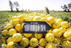 抖音安安吃瓜,揭秘网红幕后故事