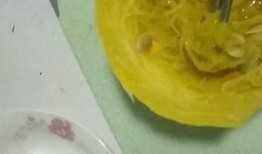 金丝搅瓜嫩瓜怎么吃,金丝搅瓜嫩瓜的多样美味食用指南