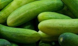 吃瓜的系统,揭秘吃瓜群众背后的神秘世界