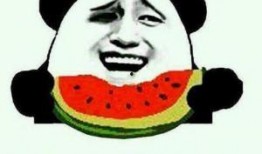 悠闲黑脸吃瓜群众