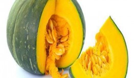 肾病可以吃板栗瓜吗