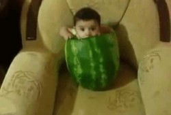 吃瓜看笑话小组,揭秘娱乐圈幕后趣闻