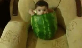 吃瓜看笑话小组,揭秘娱乐圈幕后趣闻