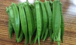 吃秋葵可以吃哈密瓜吗,秋季养生美食搭配指南