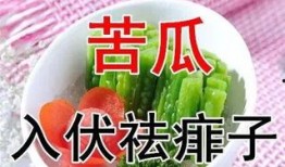 入伏为什么吃瓜,传统习俗中的消暑智慧