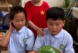 t姐吃瓜,t姐吃瓜，带你领略幕后风云